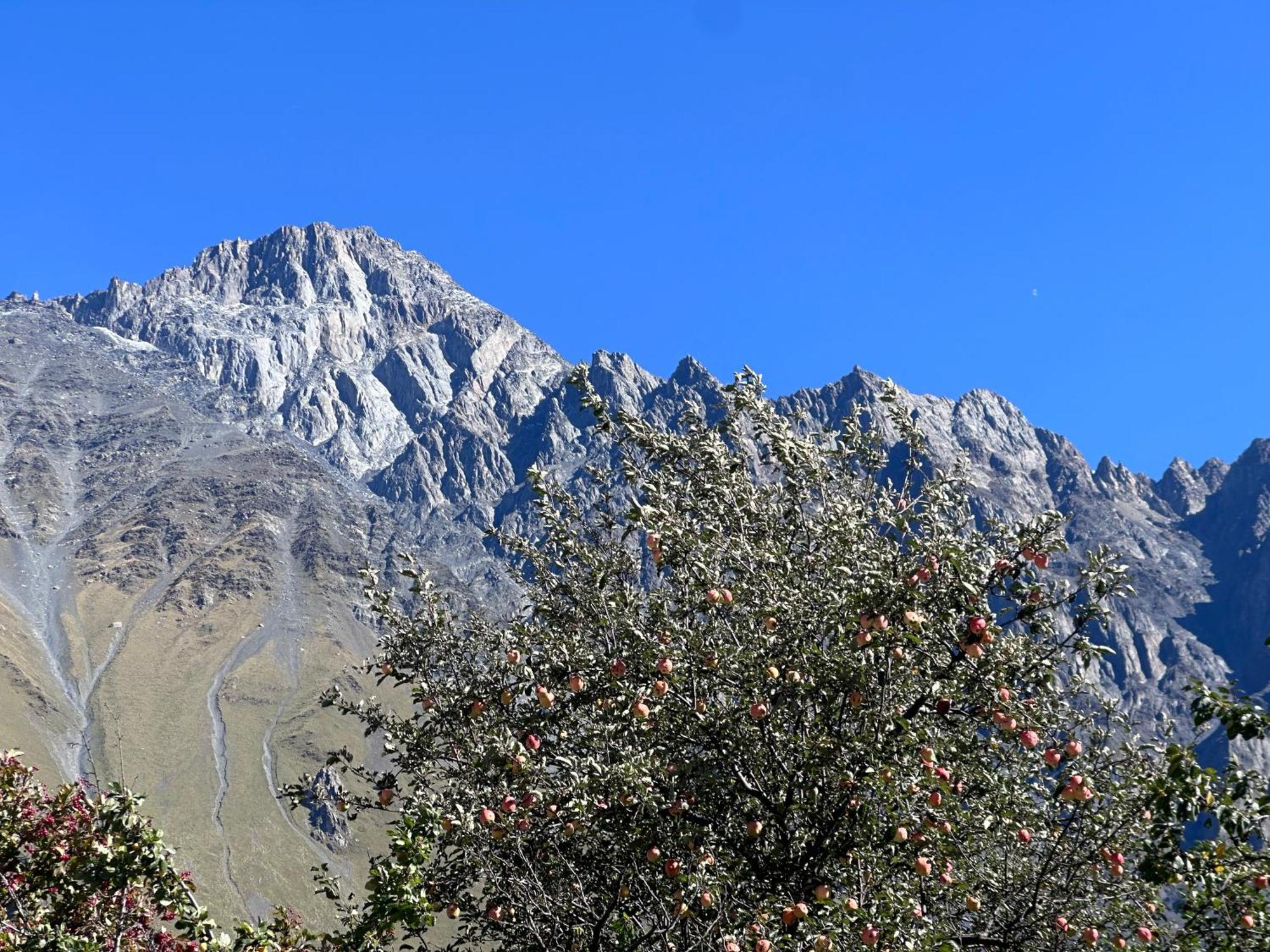 Hotel Mountime Kazbegi Luaran gambar
